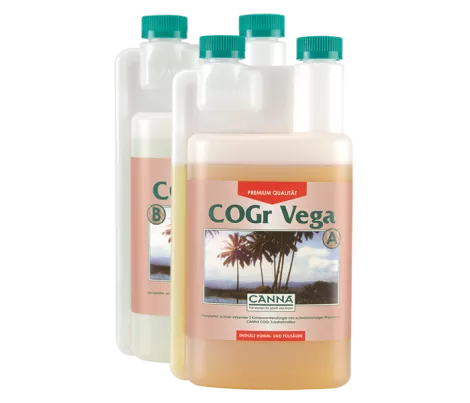 CANNA COGr Vega A&B