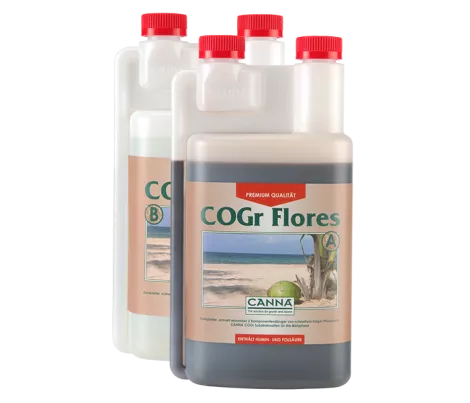 CANNA COGr Flores A&B