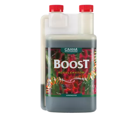 CANNABOOST Accelerator