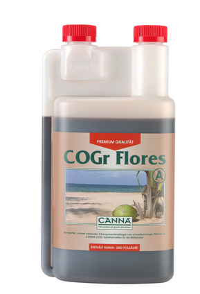 CANNA COGr Flores A 