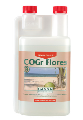 CANNA COGr Flores B 